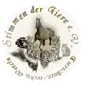 5 Rockbands für 10,- €