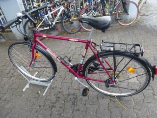 (194) 21 Gang 28 Zoll Rh 53 WHEELER