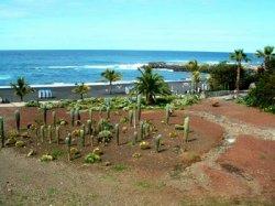 Teneriffa Bungalow Nora