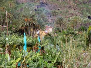 Die kleine Finca im Norden von Teneriffa