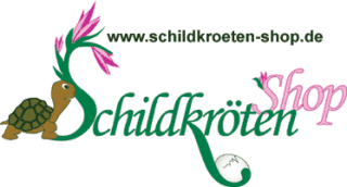 Landschildkröte Schildkröte
