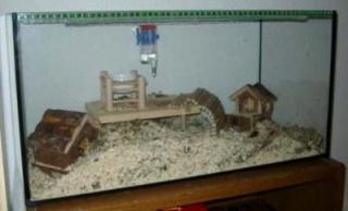 Terrarium inkl. 3 Farbmäuse