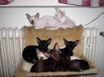 OKH Babys Verschiedene Farben