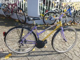 (49) 18 Gang 28 Zoll Rh 46 RIDGEBACK