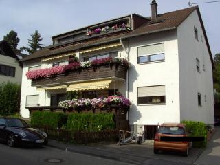 Schicke, lichtdurchflutete 3 ZKBB Wohnung sucht nettes Mietverhältnis!