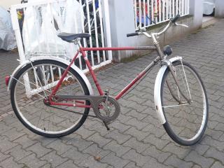 (5) 3 Gang Rücktrittsbremse 28 Zoll Rh 55