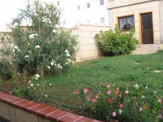    Apt. und Studios    in San Isidro auf Teneriffa