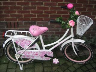Holland Fahrrad 20 Zoll !!!
