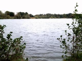 Angelgewässer Woldsee Bilder von Angel.Blog. Zwischen Weser und Ems