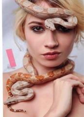 Hochglanzbild auf Fotopapier 