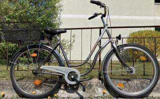 Stadtfahrrad Bavaria Line Lizzard für Damen, 26 Zoll, Nabenschaltung, Korb